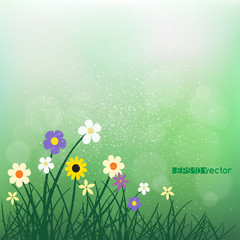 Fototapeta na wymiar wild flowers and grass on blur green bokeh