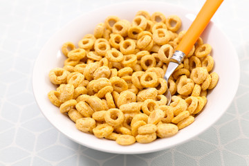 bowl of breakfast cereal