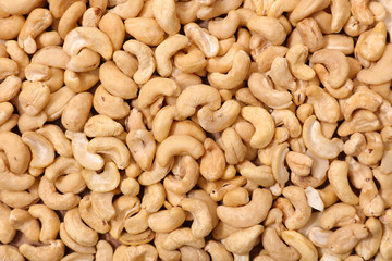 close up cashew nut