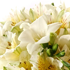 Fototapeta na wymiar Bouquet of flowers