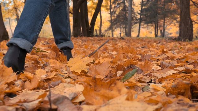 Girl walking and kicking fall leaves. Focus on legs. Motion blur on background