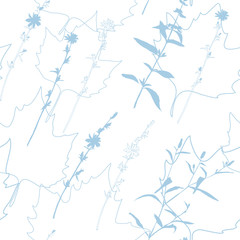 Summer flowers, herbs and leaves floral vector seamless pattern. Realistic botanical background with hand drawn chicory flowers, maple leaves and herbal grasses.