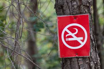 A red sign with a crossed smoking cigarette (smoking is forbidden) is nailed to the trunk of a tree