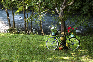 Old bicycle with flowerpots. Old bicycle stands on the meadow, leaning against a tree. Several flower pots with flowers hang on it. In the background is a small river and trees.