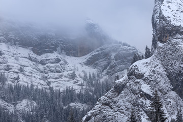Winter landscape with pine trees forest in Carpathians mountains