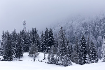 Winter landscape with trees covered with snow in a mountain valley in Romania