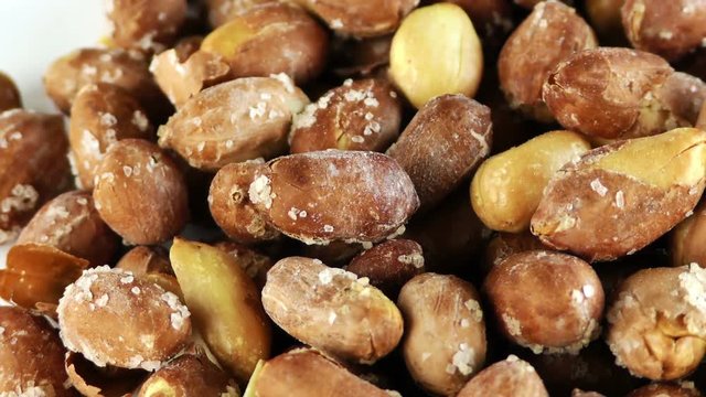Peanut Macro View