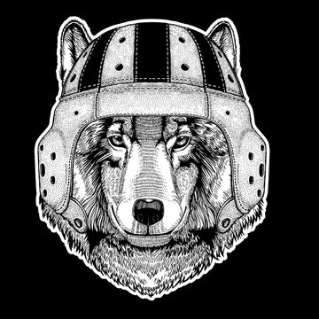 Rugby player. Wolf Dog Hand drawn image for tattoo, emblem, badge, logo, patch