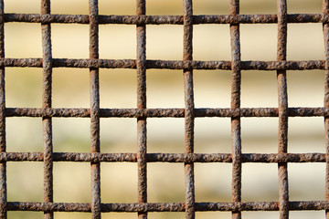 Rusty cage close up. Blurred Background © somemeans