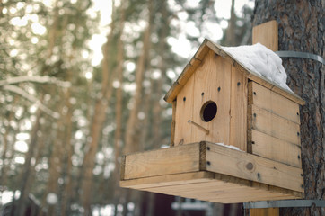 Bird feeder. Birdhouse on pine tree on winter forest abstract background.