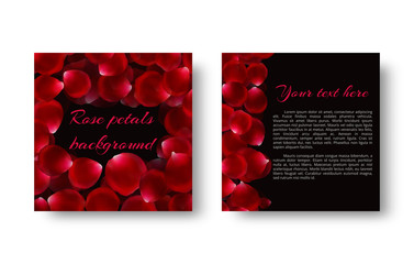 A leaflet template with floating rose petals for loving congratulations on Valentine's Day.