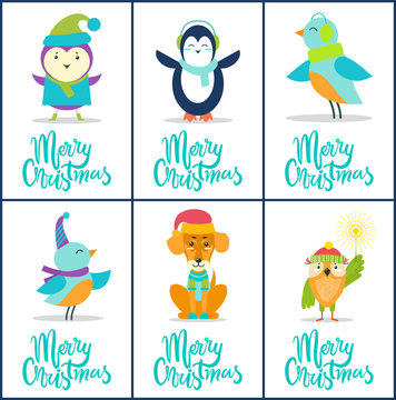 Merry Christmas Images on Vector Illustration