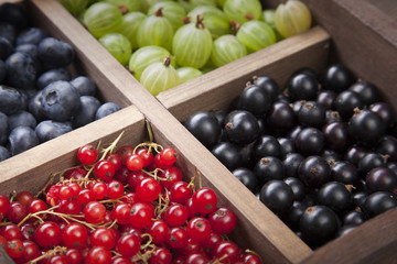 Red black currant blueberry gooseberry in a wooden box