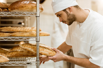 side view of handsome baker putting fresh bread on shelf at baking manufacture
