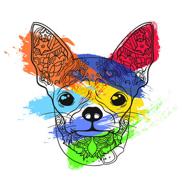 Ornament face of dog chihuahua on line art style wit coloring paint brushes, vector illustration isolated on white background