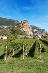 Arco di Trento - Trentino Alto Adige Italy