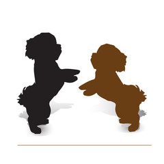 Circus dog. Two puppies poodle on two legs, silhouette on white background,