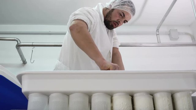 Cheese maker working ricotta cheesse- Diary cheese Factory