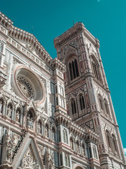 Fototapeta premium particolari