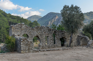 Fototapeta na wymiar ruins of ancient Lycian town of Olympos near Cirali Kumluca region, Antalya province, Turkey