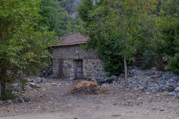 traditional Turkish barn among ruins of ancient Lycian town of Olympos  near Cirali Kumluca region, Antalya province, Turkey