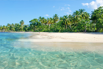 Ferien, Tourismus, Sommer, Sonne, Strand, Meer, Glück, Entspannung, Meditation: Traumurlaub an einem einsamen, karibischen Strand :) 