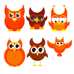 Flat cartoon owl set, owls with big eyes and small wings, vector illustration isolated on white background