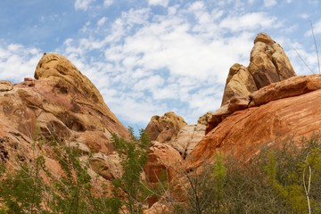 Fototapeta premium Valley of Fire 57