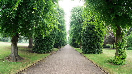 Path in Grosvenor Park Chester