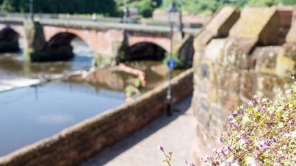Flowers in front of Old Dee Bridge Chester