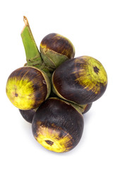 Nuss der Palmyrapalme