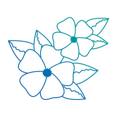 floral wreath crown frame