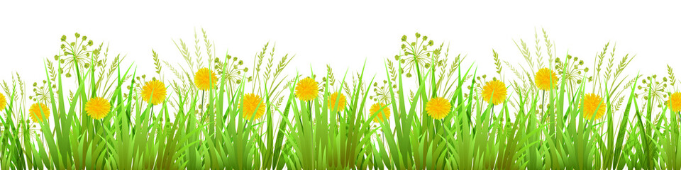 Green Grass. Long format Seamless Pattern. Raster illustration