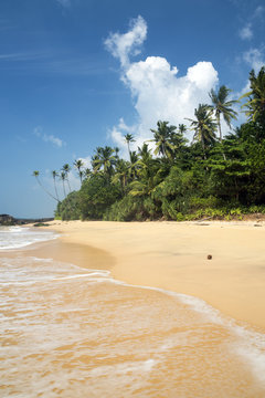 Tropical beach, Wellamadama, Matara, Southern Province, Sri Lanka