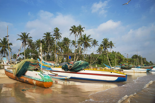 Fishing boats on the beach, Weligama, Matara, Southern Province, Sri Lanka