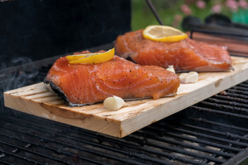 cedar plank salmon with lemon on a grill
