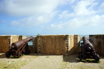 Obraz premium Two rusty guns