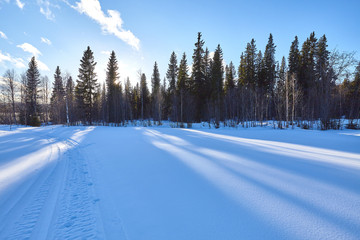 Quiet winter landscape.
