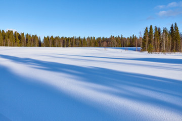 Quiet winter landscape.