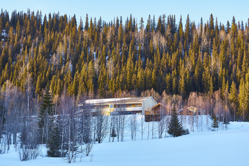 Quiet winter landscape.