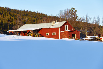 Quiet winter landscape.