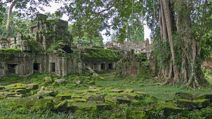 Mossy stones of ancient ruins in Angkor Wat, Cambodia
