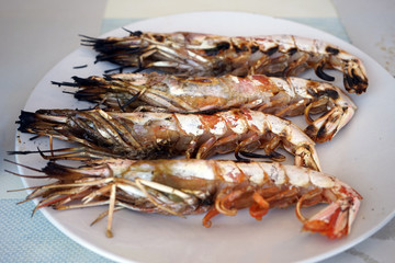 Big shrimps