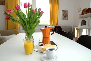 Romantic breakfast, a bouquet of tulips, a dog and a cat.