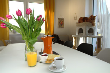 Romantic breakfast, a bouquet of tulips, a dog and a cat.