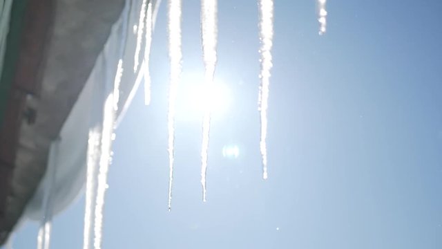 Many beautiful icicles melt on the roof at the end of winter and water drops are fall down. Spring is comming concept.