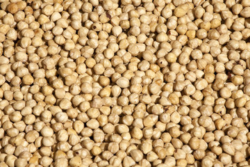 Cicer arietinum is scientific name of Chickpeas legume. Also known as Garbanzo bean, Chick Peas or Grao de Bico.