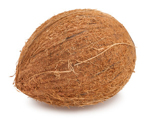 coconut