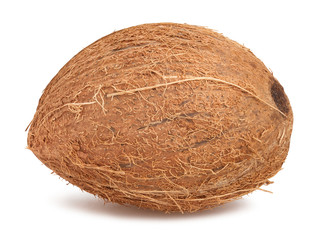 coconut