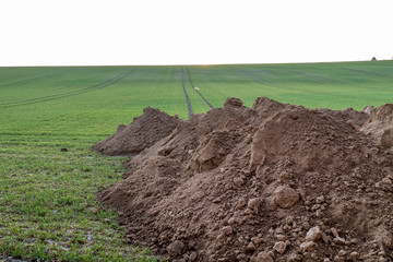 Erdhaufen im Feld